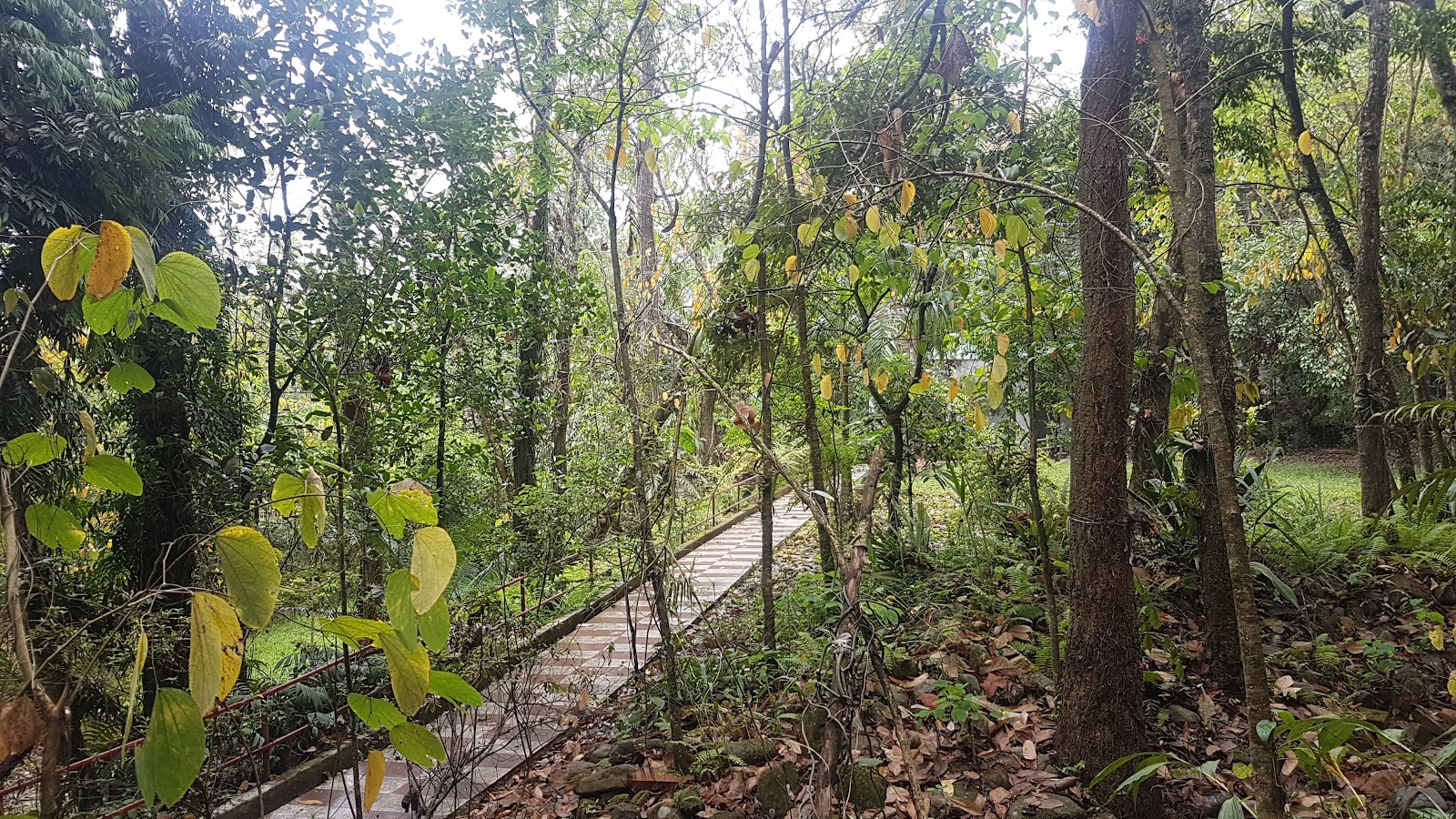 Khonghampat Orchidarium