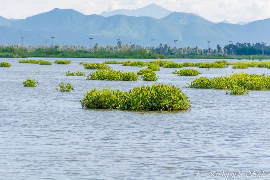 Loktak Lake