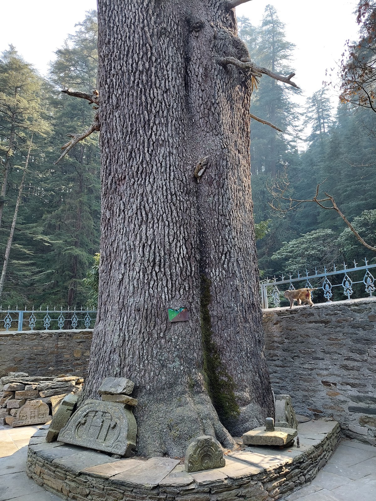 Jageshwar Archaeological Museum