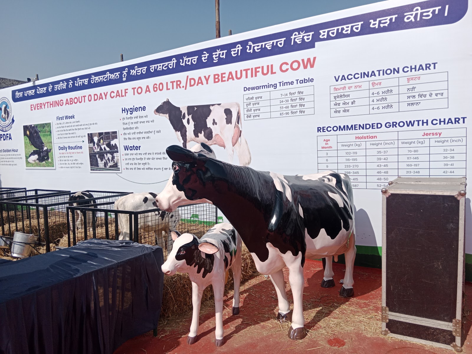 Rural Farming Fields Viewing