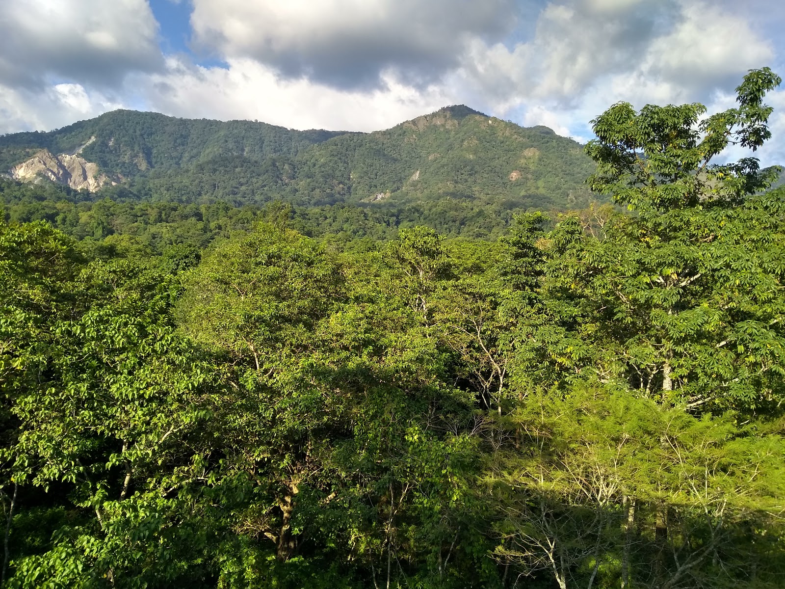 Jaigaon, Alipurduar, India: Gateway to Bhutan - Travel & Tourism