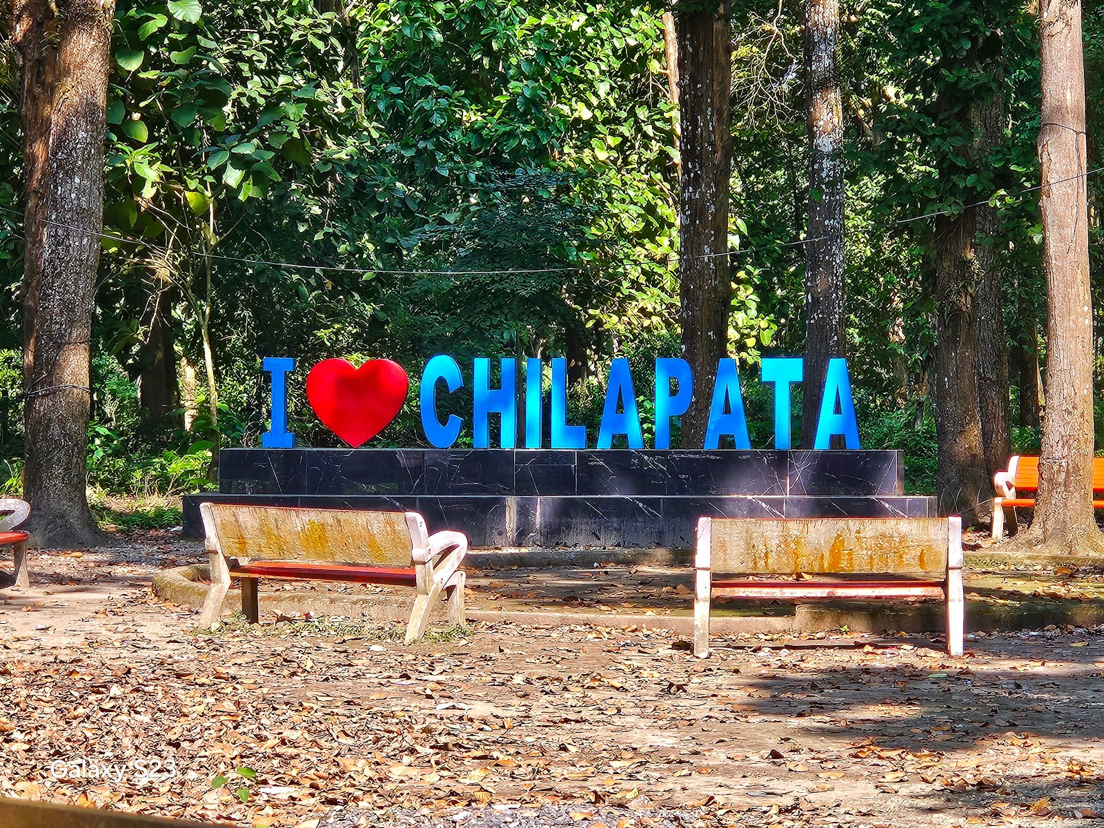 Chilapata Forests