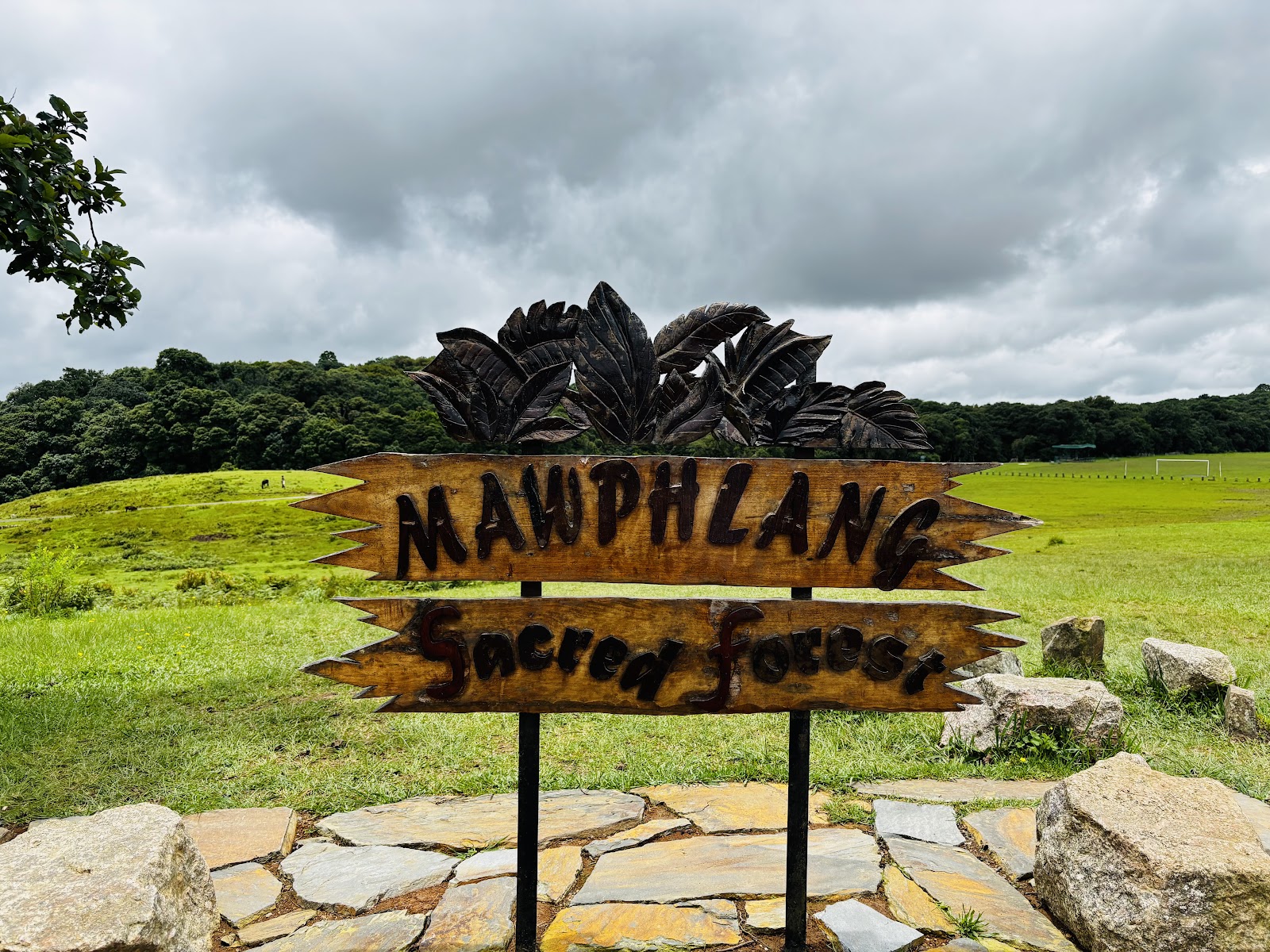 Mawphlang Sacred Grove