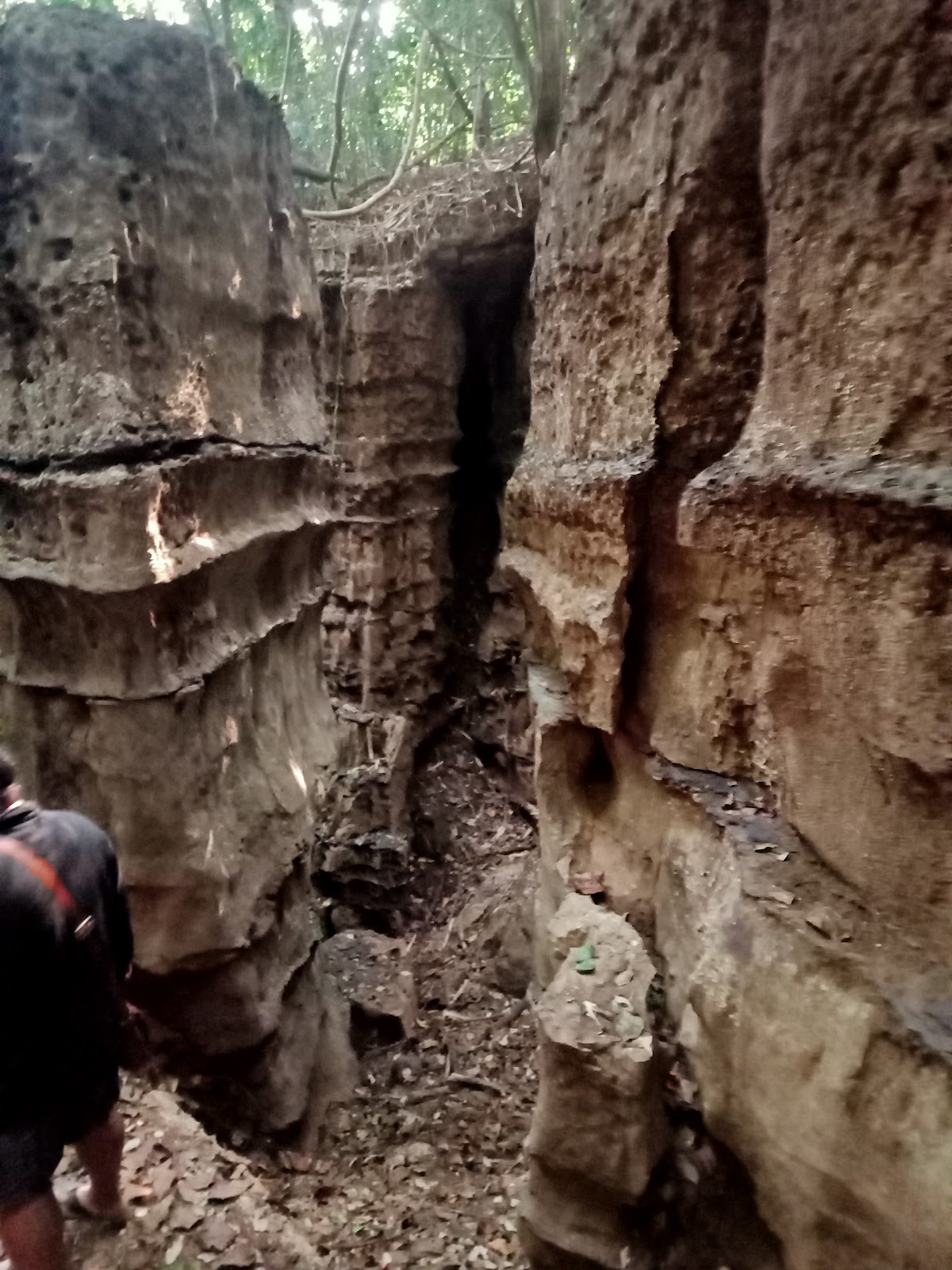 Siju Caves