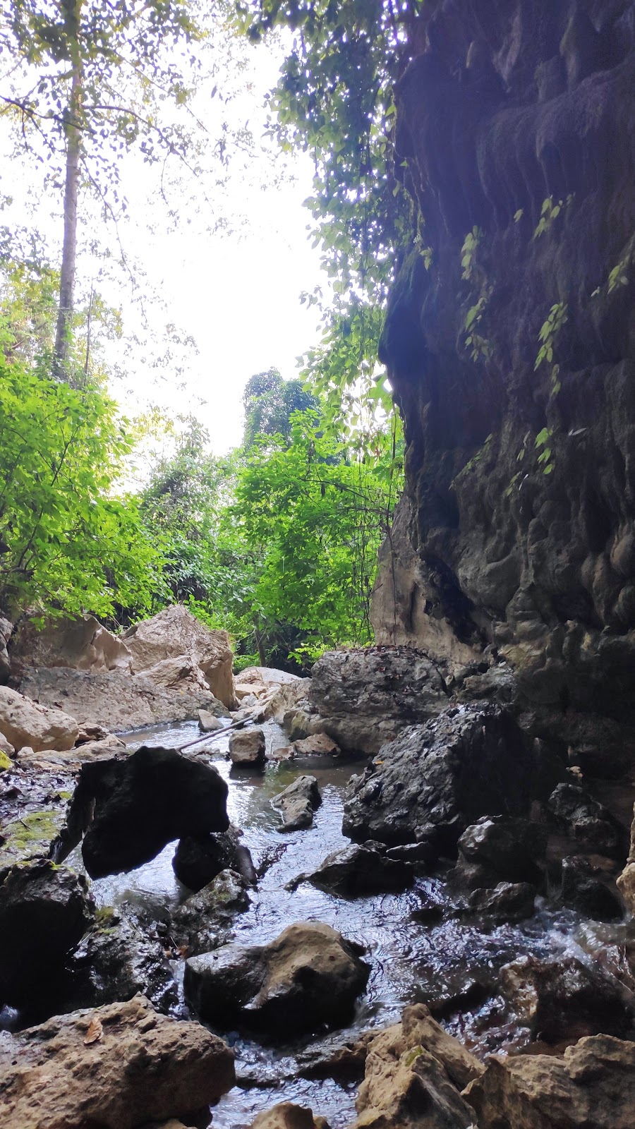 Siju Caves