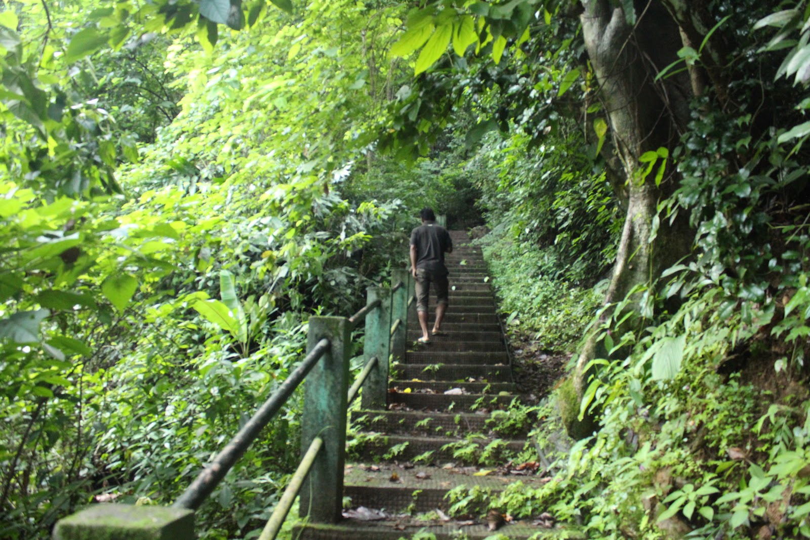 Siju Caves