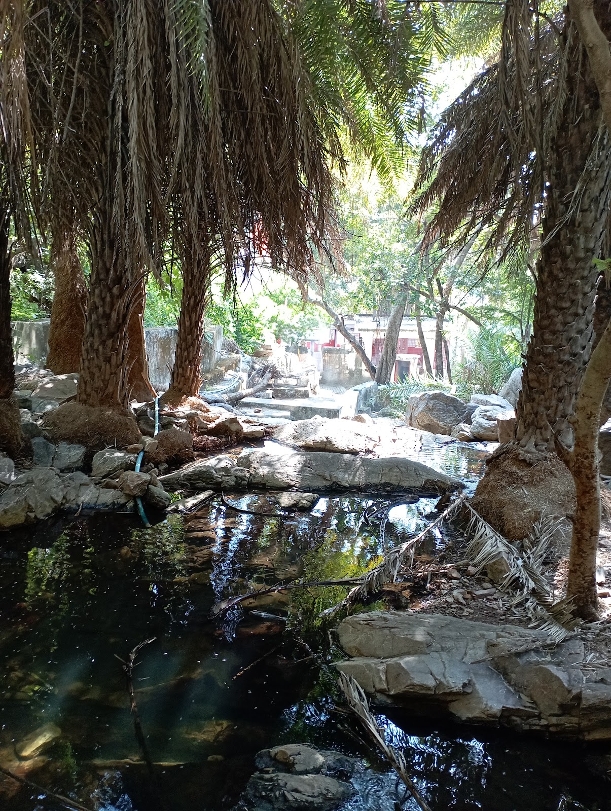 Jaisamand Wildlife Sanctuary