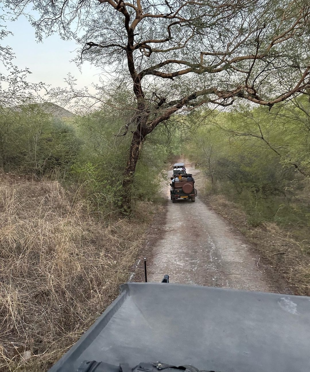 Jaisamand Wildlife Sanctuary