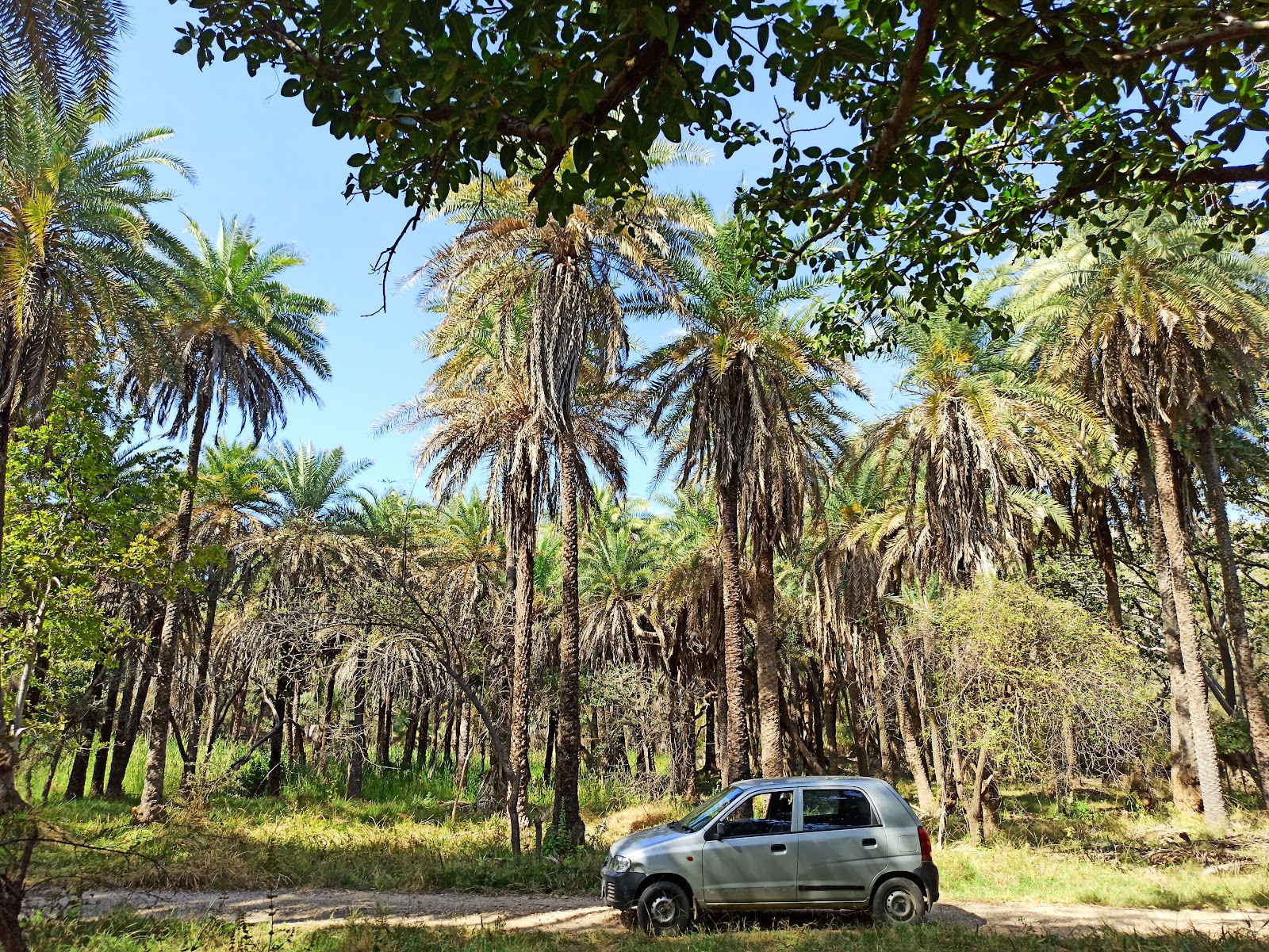 Jaisamand Wildlife Sanctuary