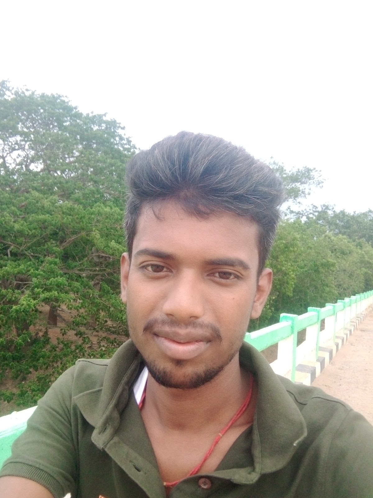 Brahmani River Bridge