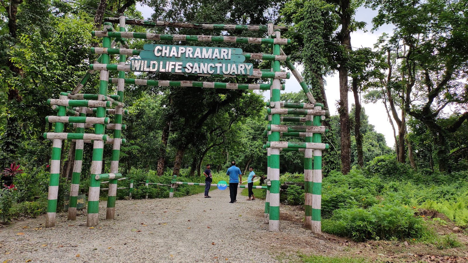Chapramari Wildlife Sanctuary