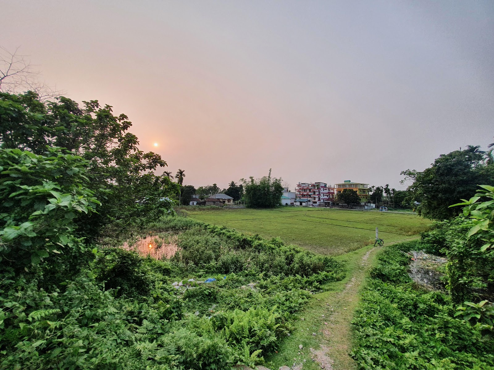 Barodabri Tea Garden