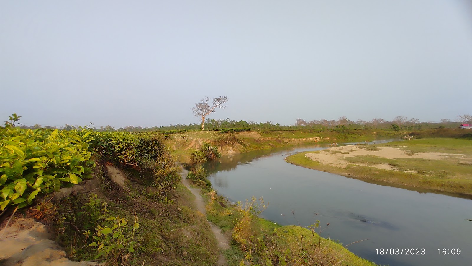 Barodabri Tea Garden