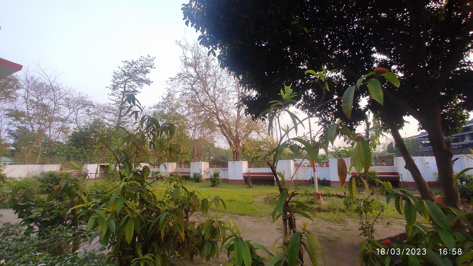 Barodabri Tea Garden