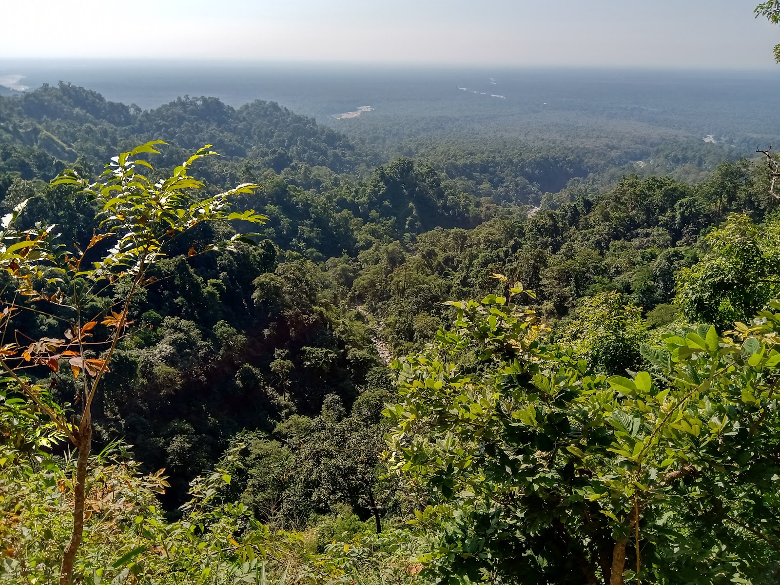 Buxa Tiger Reserve