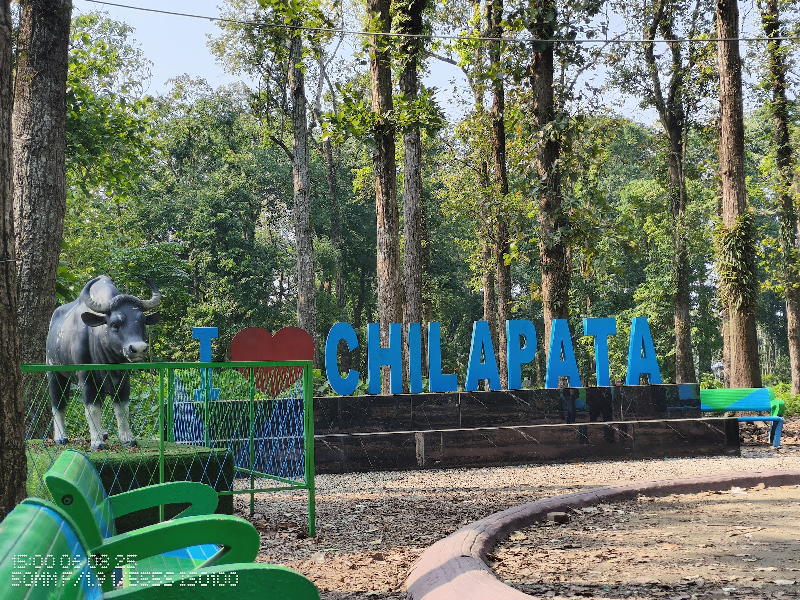 Chilapata Forests