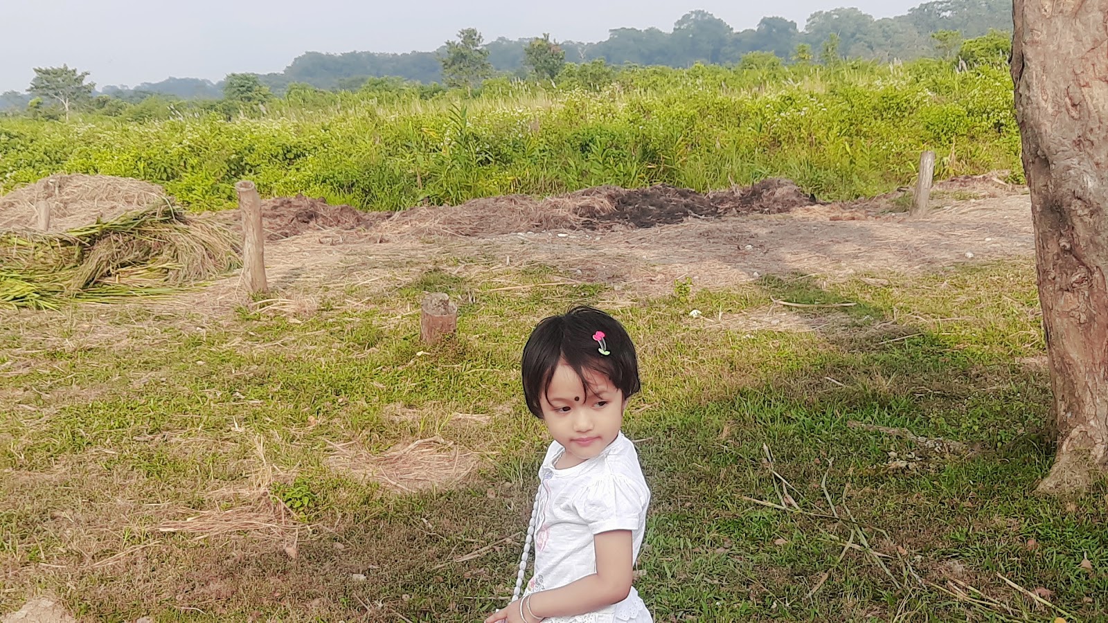 Jaldapara National Park