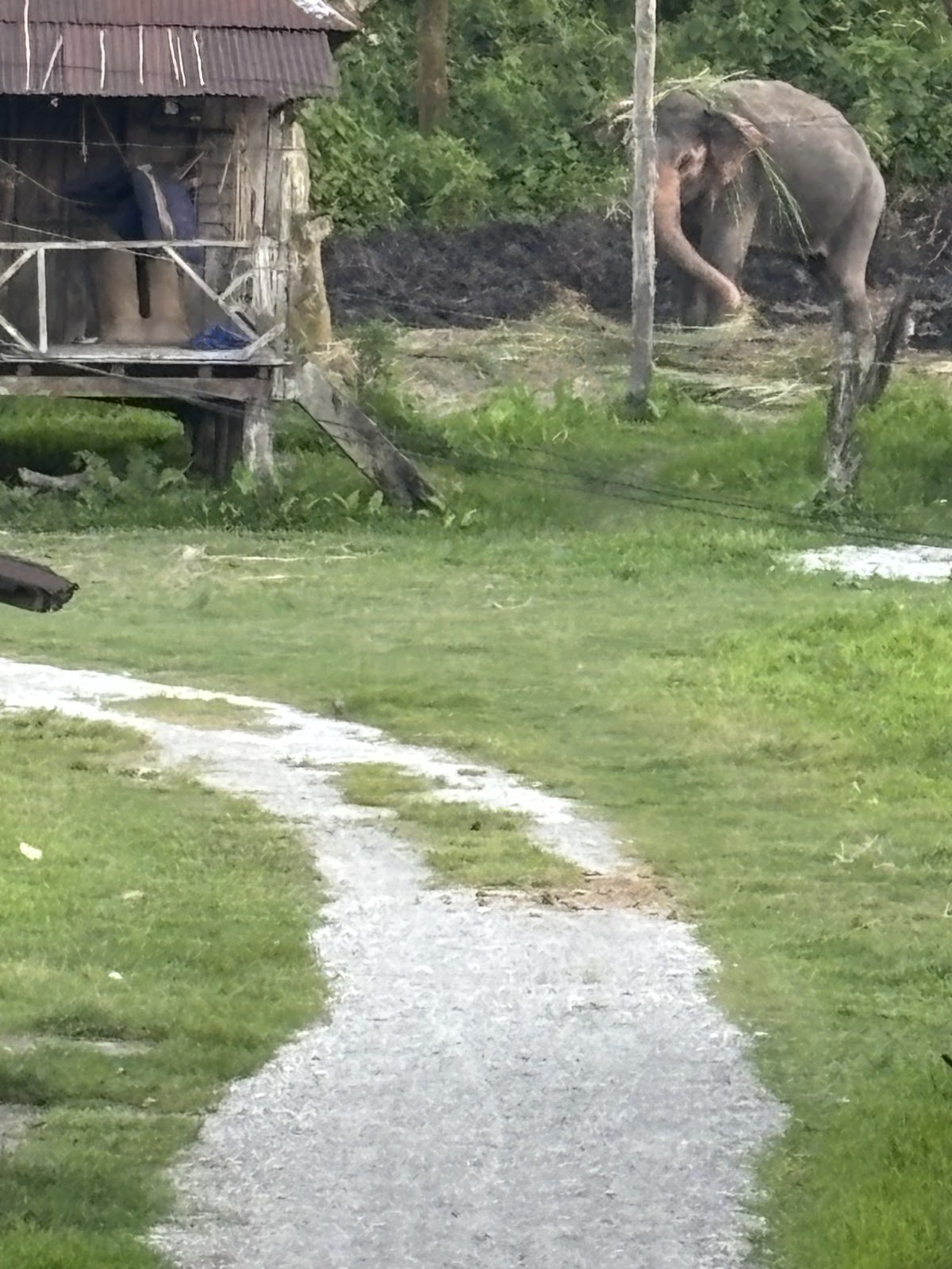 Jaldapara National Park