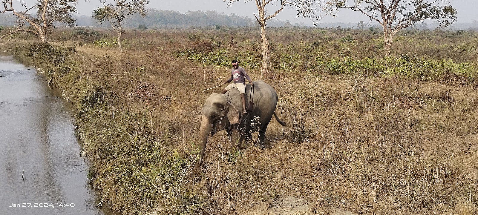 Jaldapara National Park