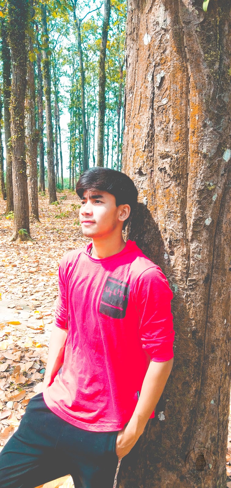 Khairbari Leopard Rescue Center