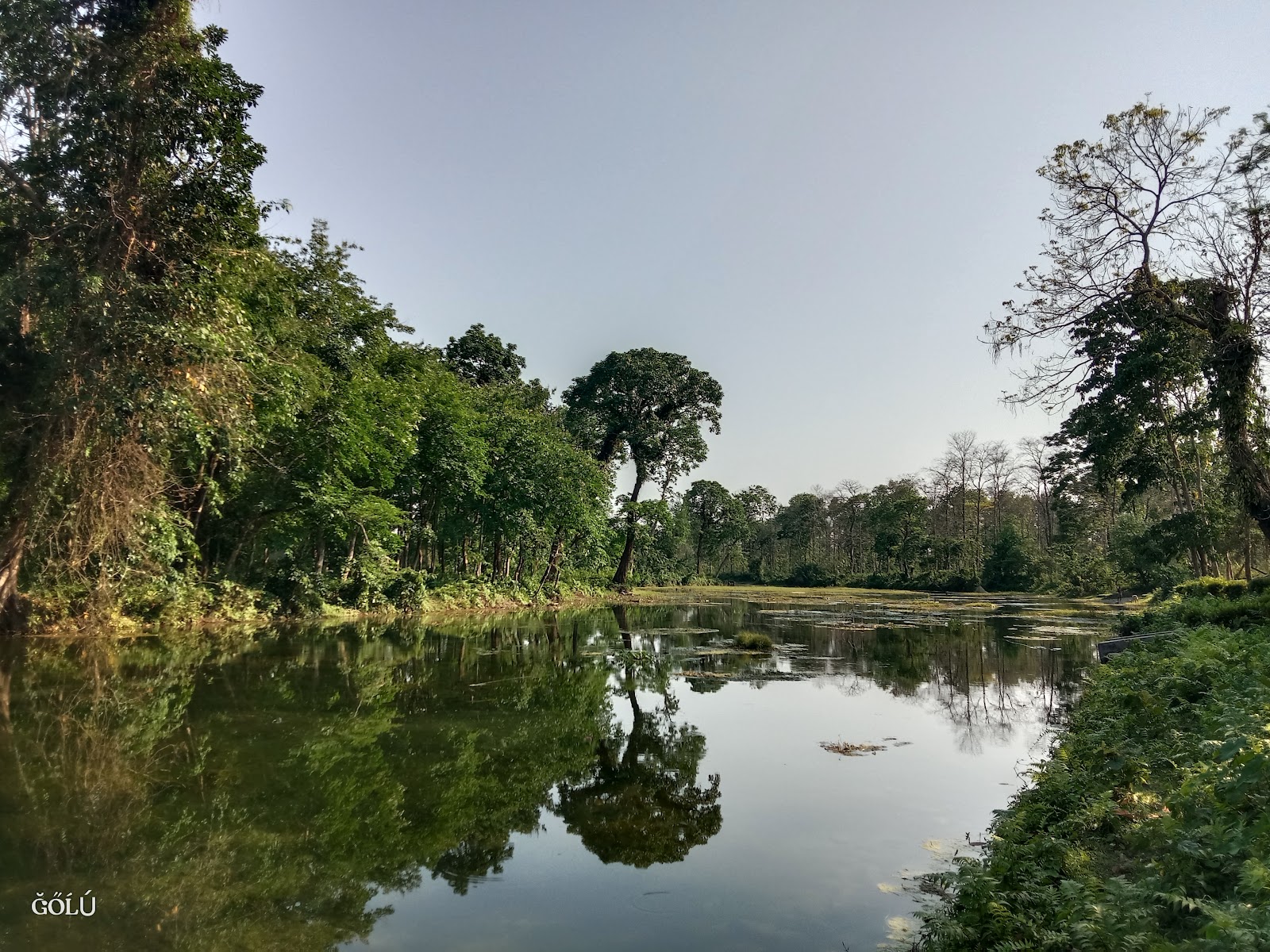 Khairbari Leopard Rescue Center