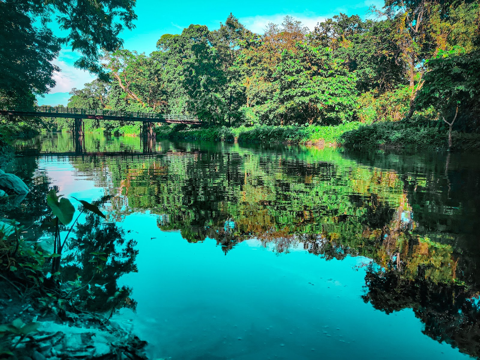 Khairbari Leopard Rescue Center