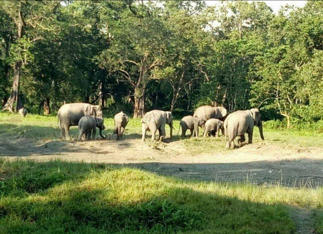 Madarihat Tourist Center