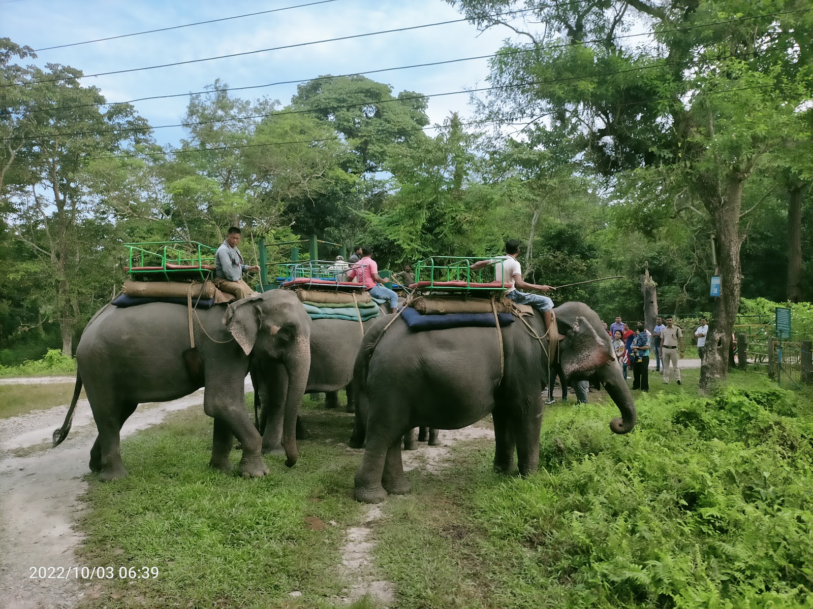 Madarihat Tourist Center