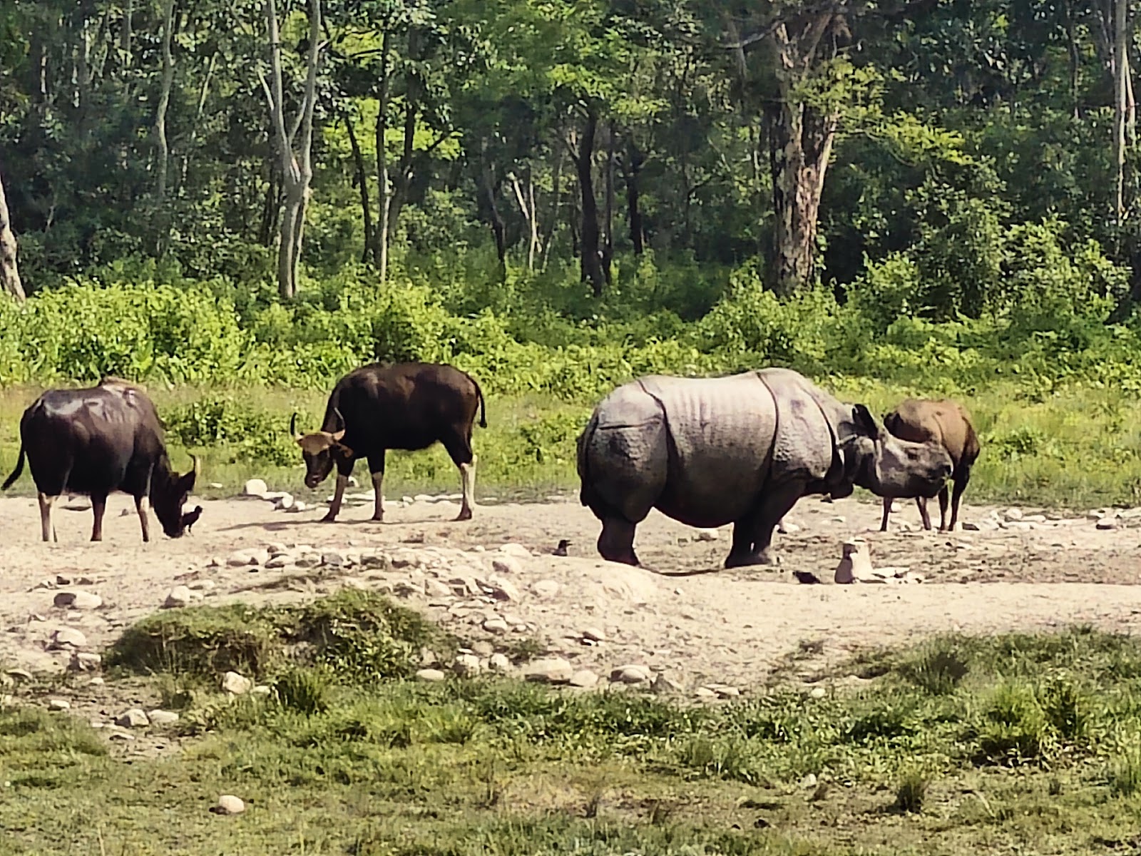 Madarihat Tourist Center