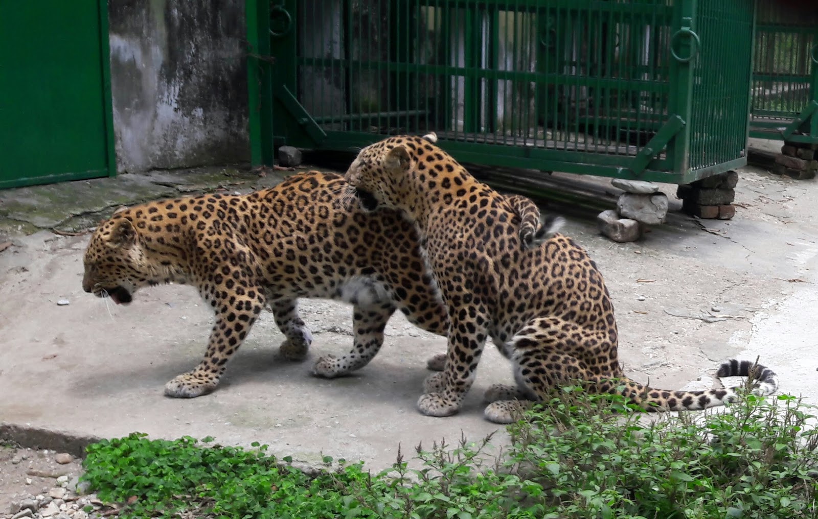 South Khayerbari Nature Park