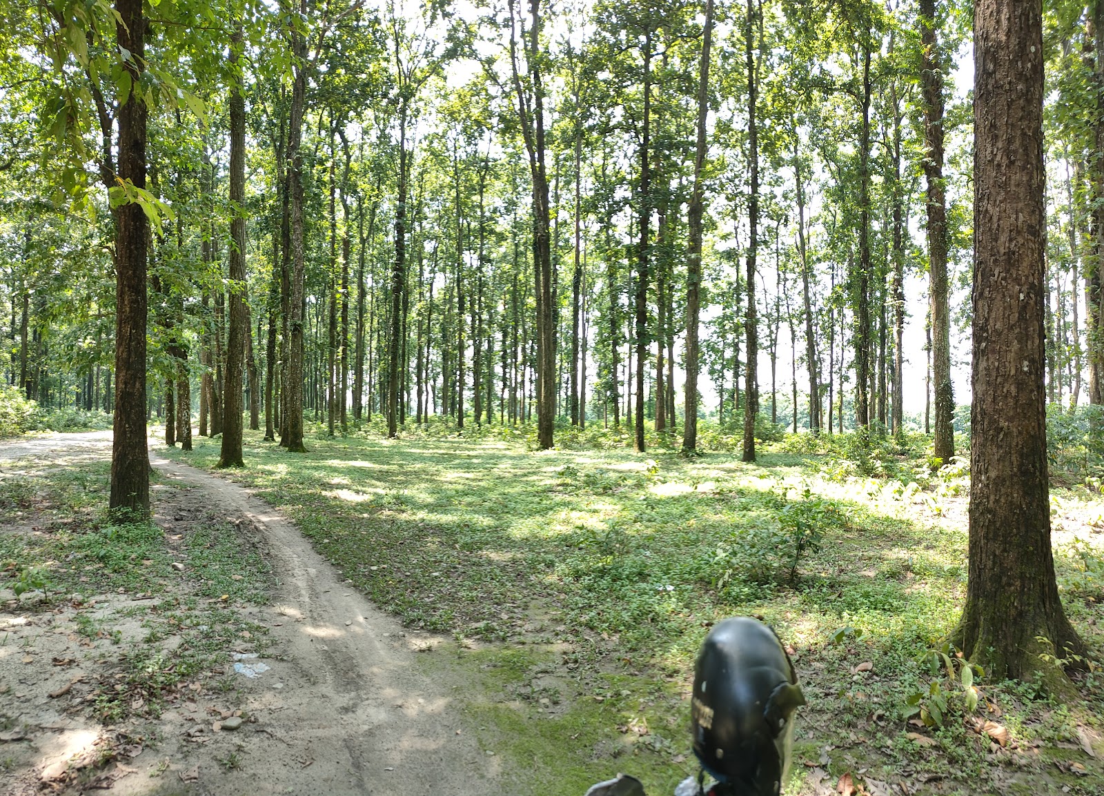 South Khayerbari Nature Park