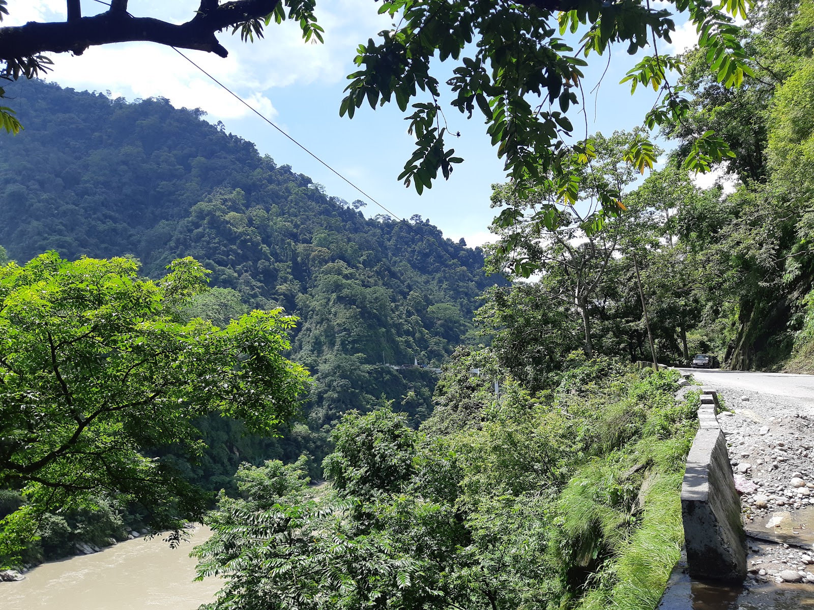 Mahananda Wildlife Sanctuary