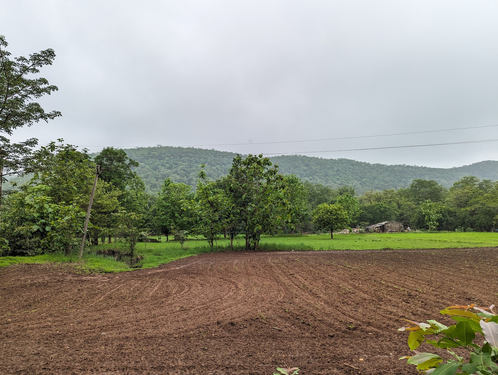 Jambughoda Wildlife Sanctuary