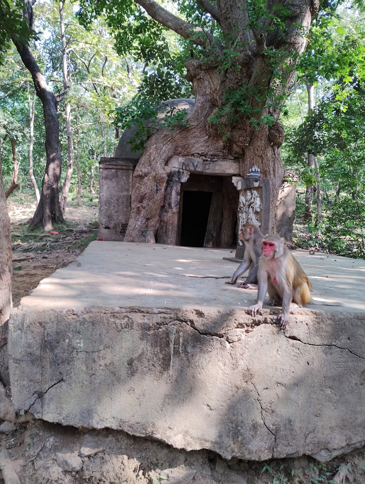 Jambughoda Wildlife Sanctuary