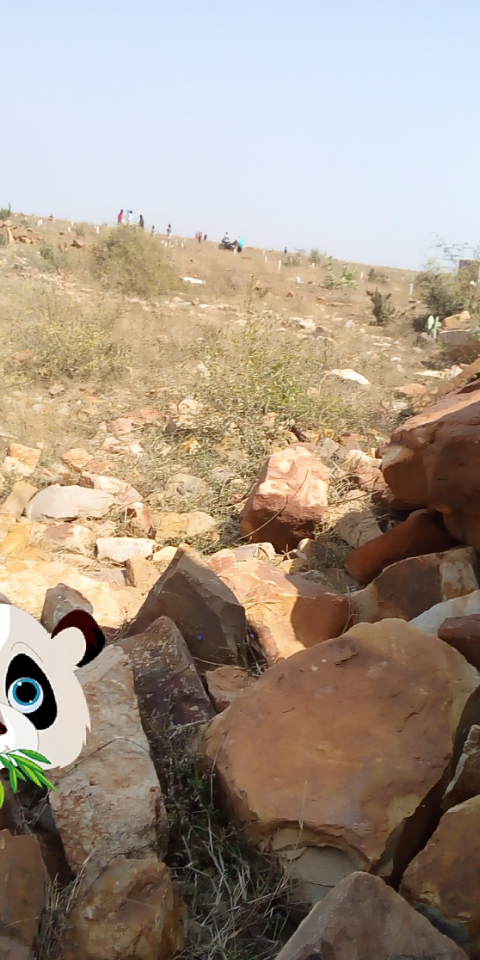 Jammalamadugu Market