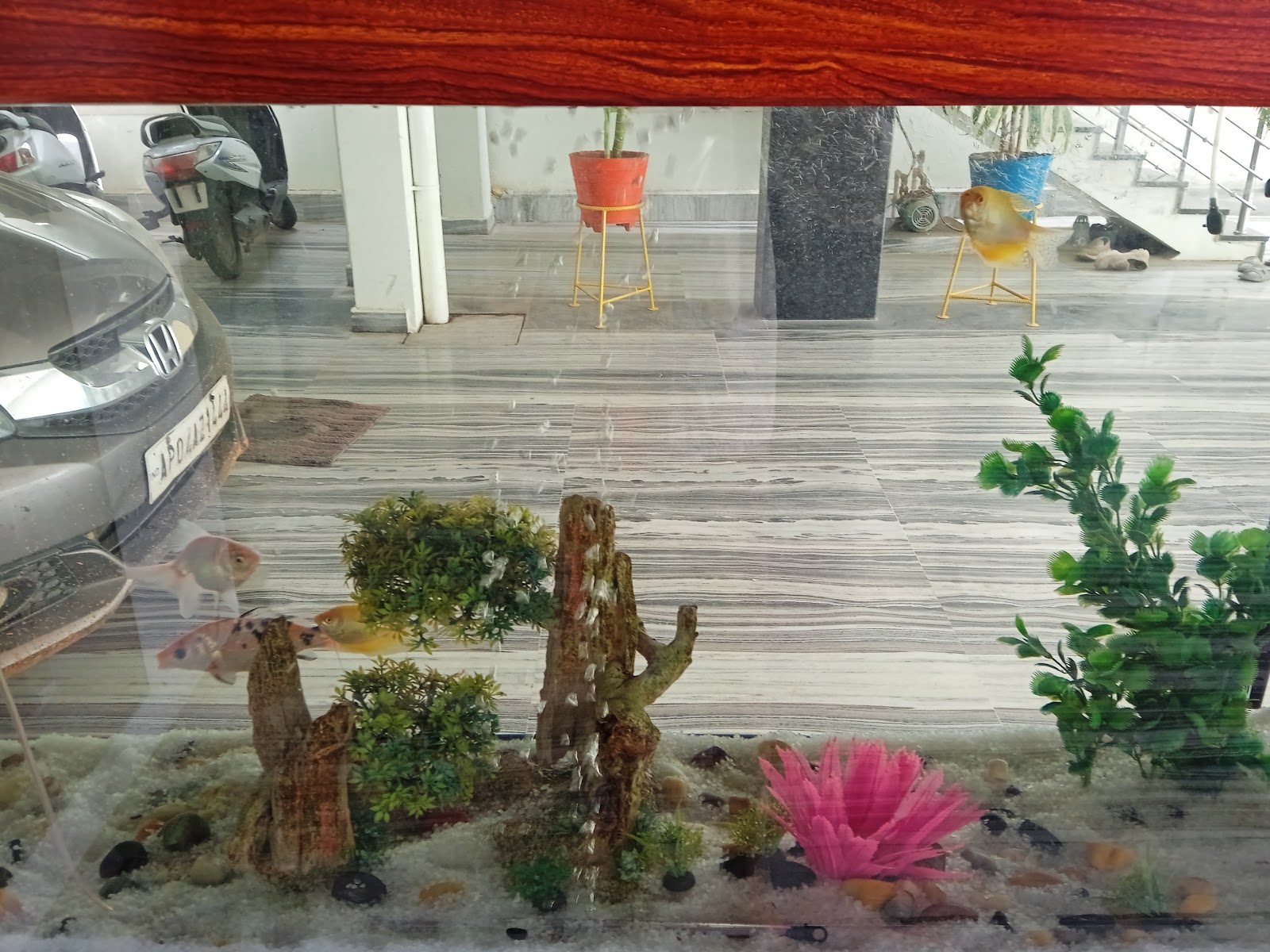 Village Walks Around Jammalamadugu