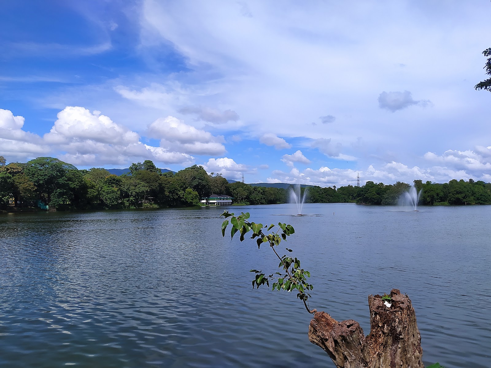 Tata Steel Zoological Park