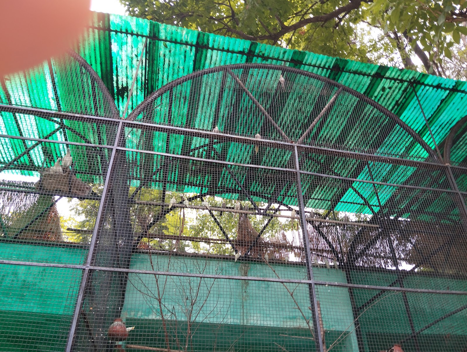 Tata Steel Zoological Park