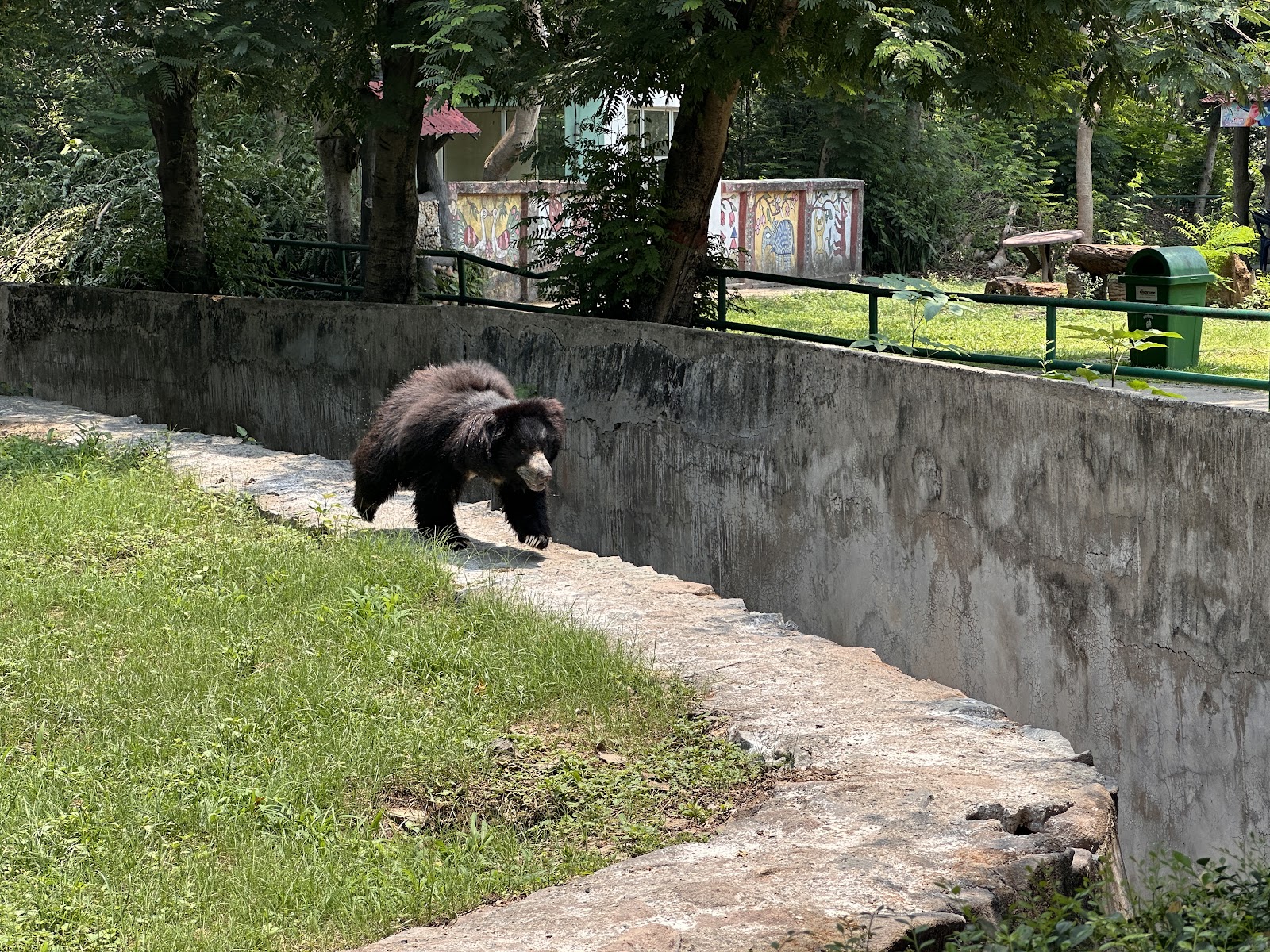 Tata Steel Zoological Park