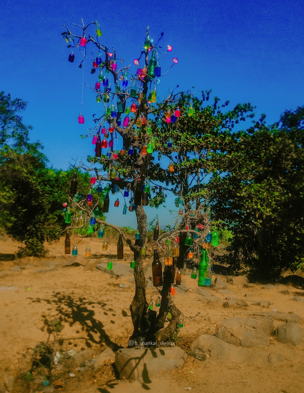 Local Handicraft Village