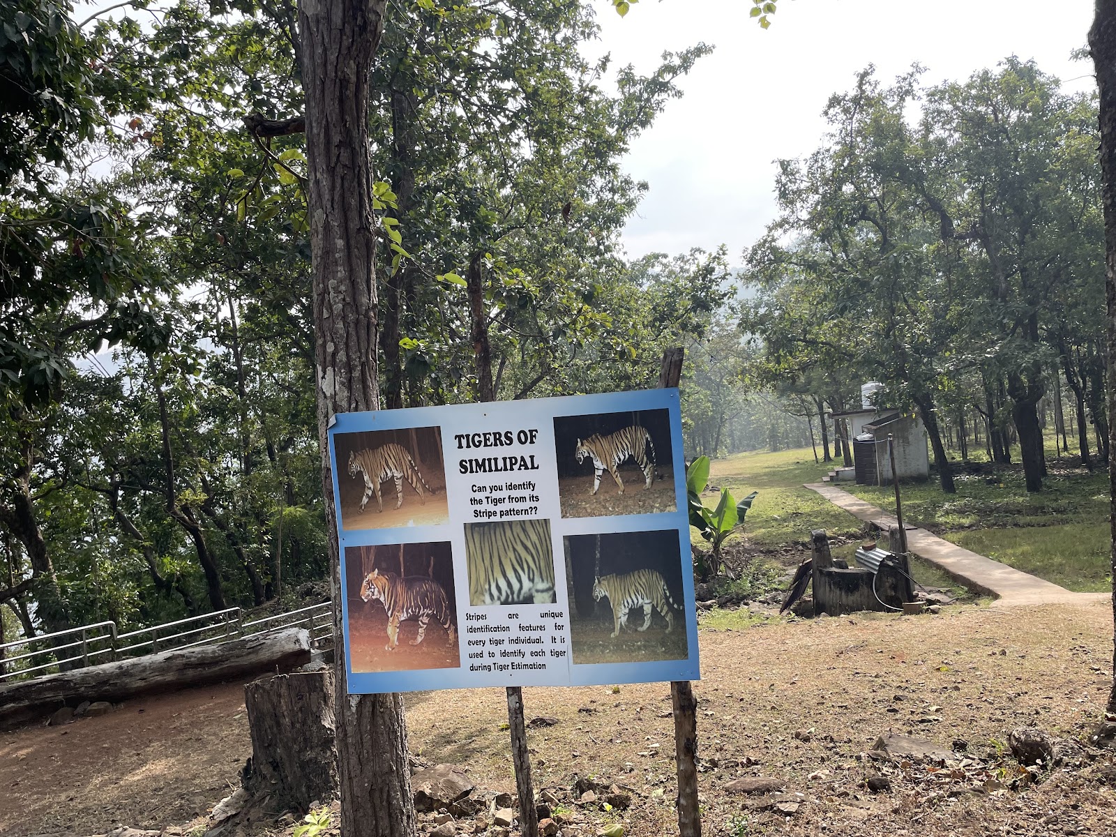 Barehipani Waterfall