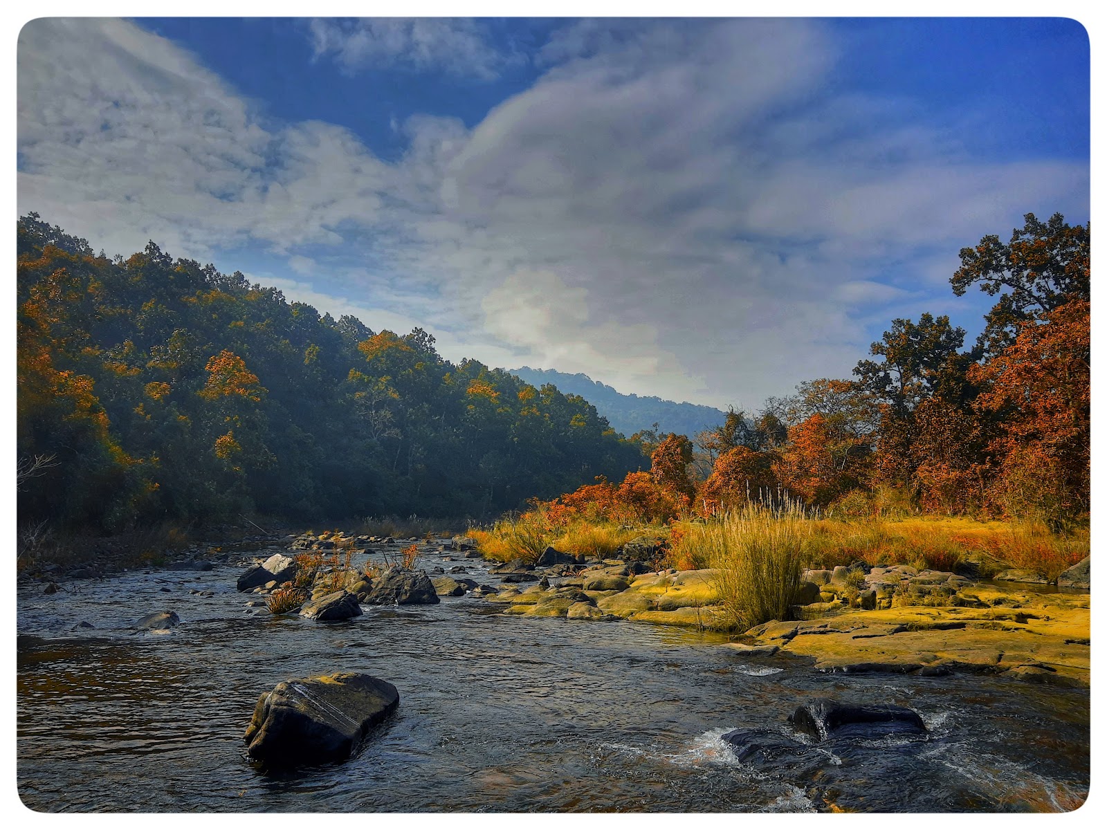 Similipal Tiger Reserve