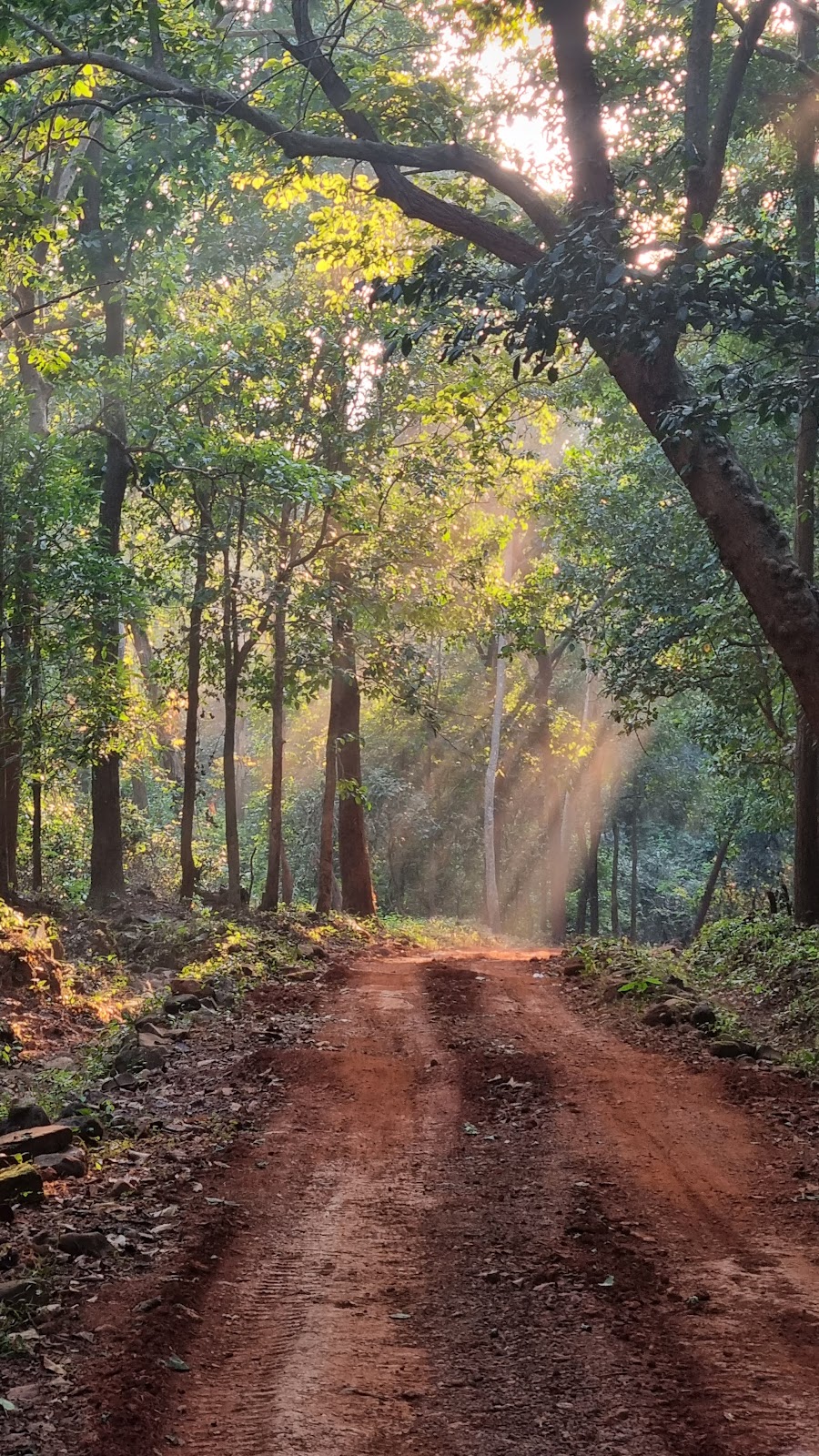 Similipal Tiger Reserve