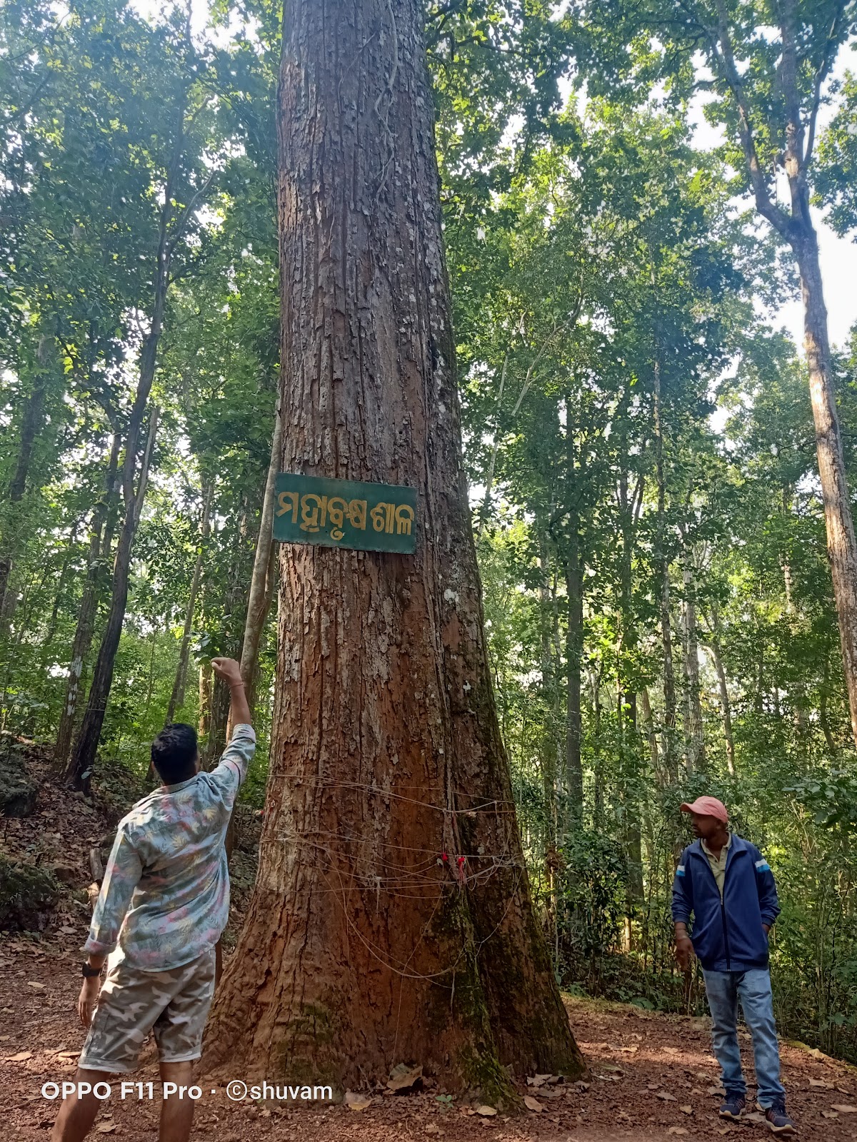 Similipal Tiger Reserve