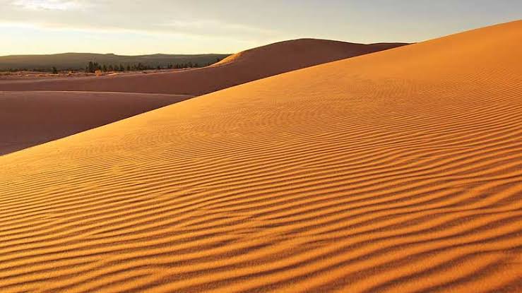 Desert Sand Dunes