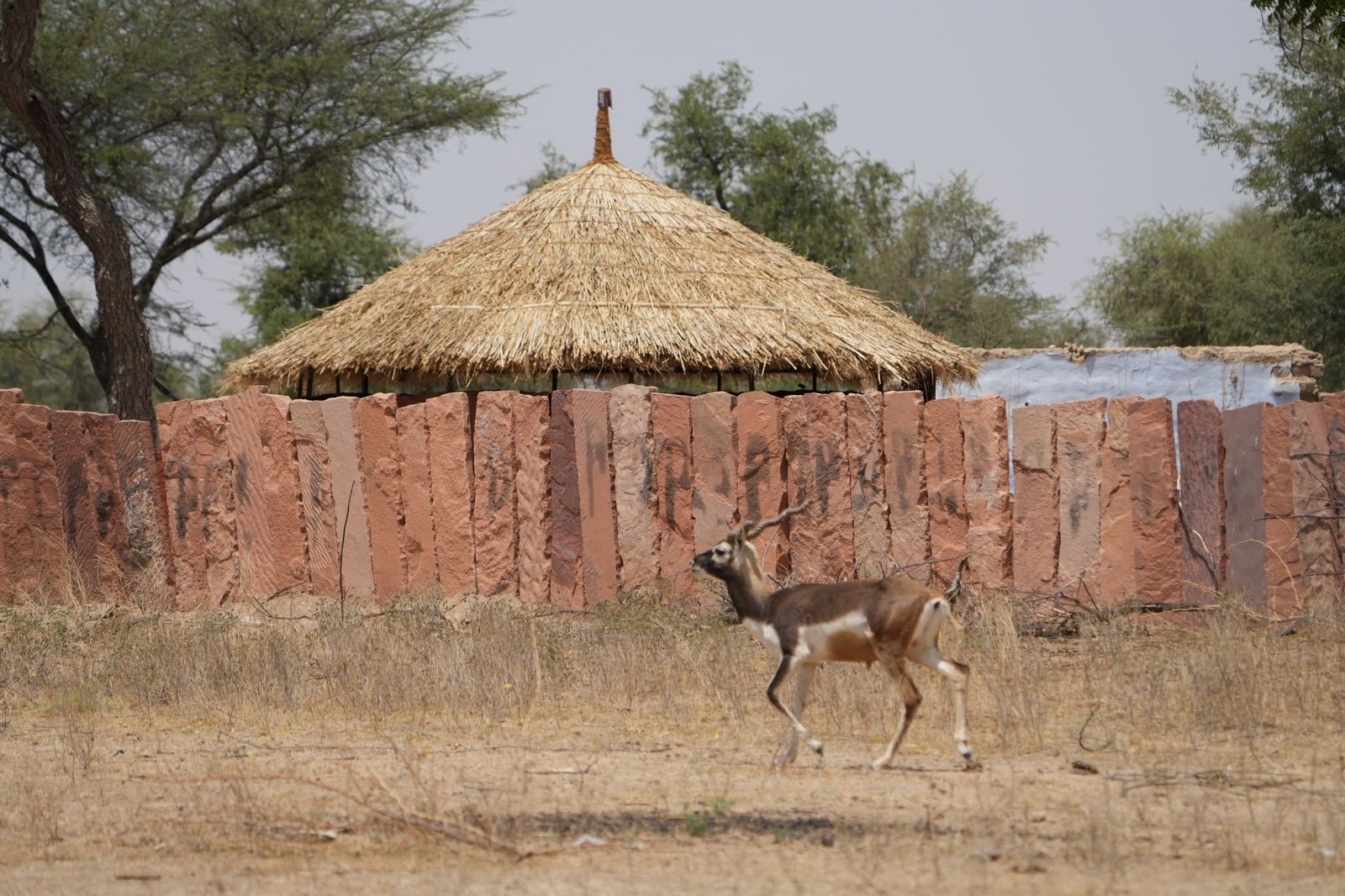 Thar Wildlife Sanctuary