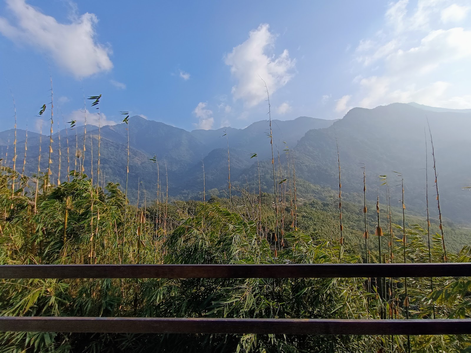 Jatinga - The Mysterious Village of Assam