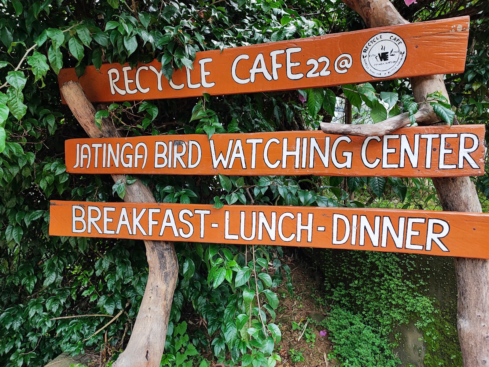 Jatinga Bird Observatory