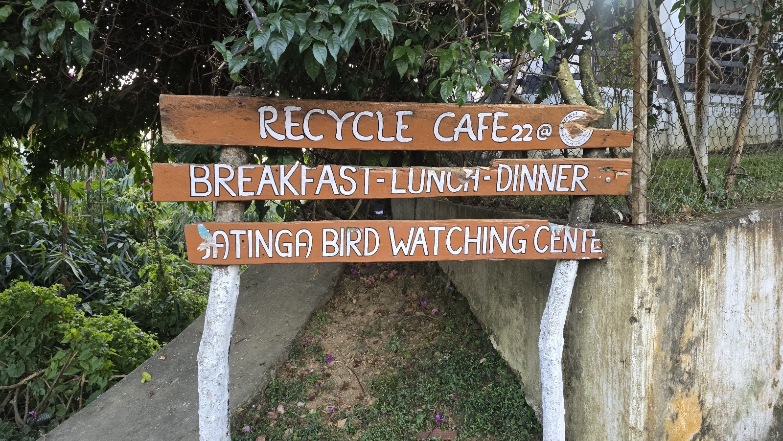 Jatinga Bird Observatory