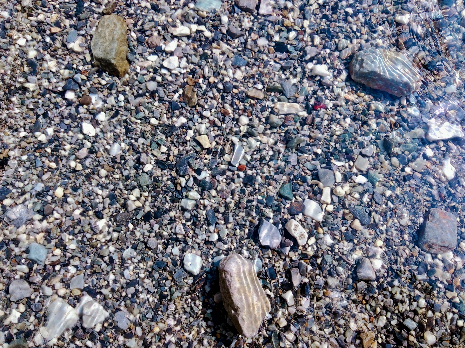 Jayanti Riverbed